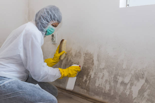 Best Water Damage Restoration  in Vienna, GA
