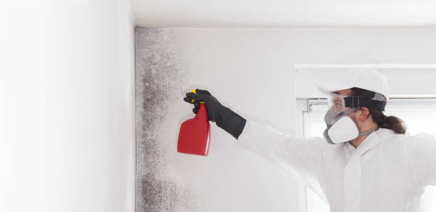 Best Crawl Space Mold Removal  in Vienna, GA