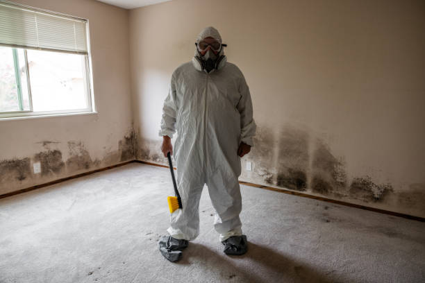 Best Mold Testing  in Vienna, GA